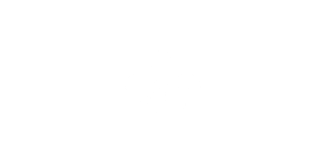 light logo